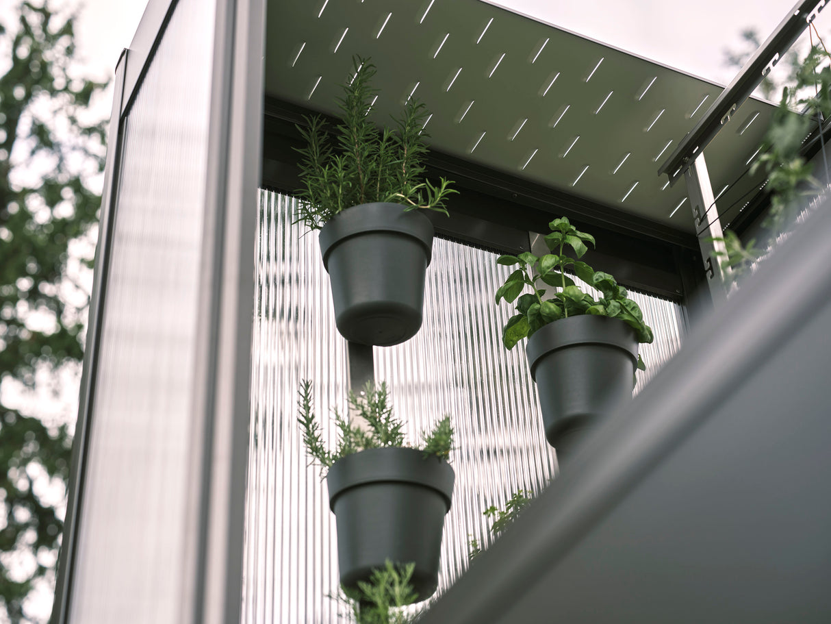 Florentina Greenhouse