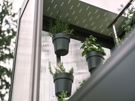 Florentina Greenhouse