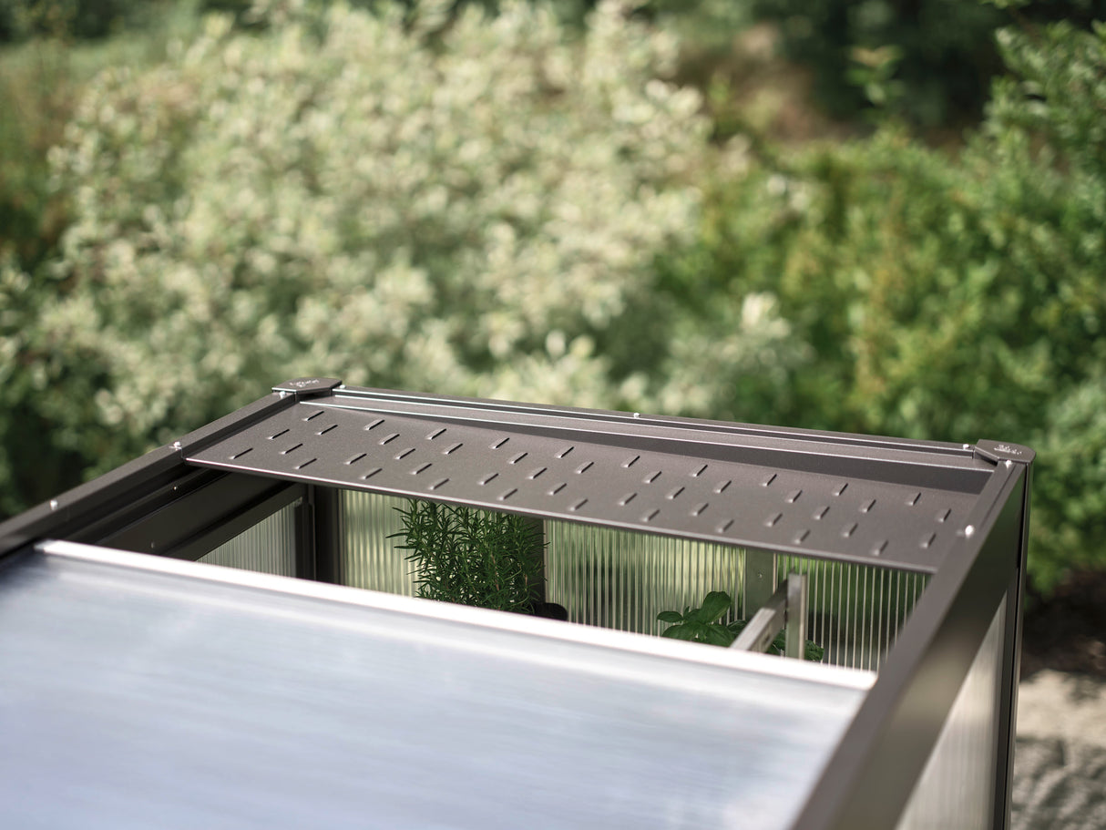 Florentina Greenhouse